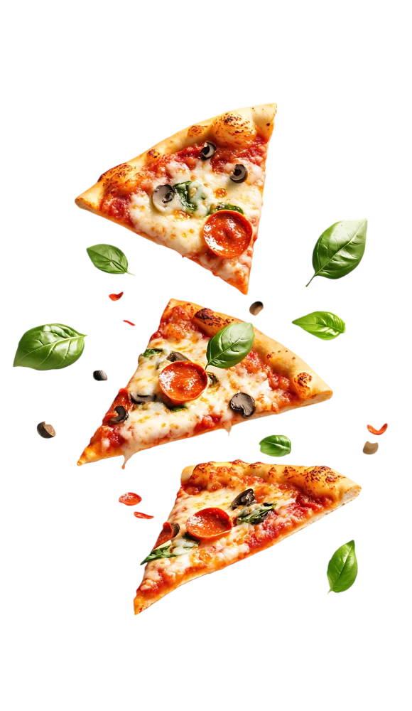 hamburger-6-nhh-10 (1)