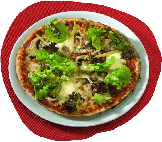 hamburger-6-nhh-18 (1)